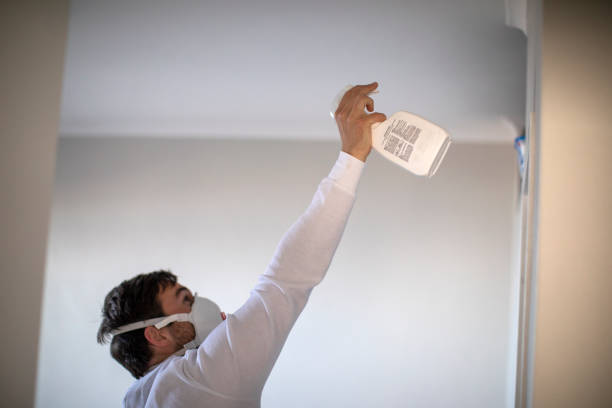 Attic Mold Removal in Trotwood, OH