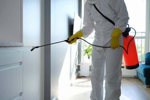 Best Mold Removal Company Near Me  in Trotwood, OH