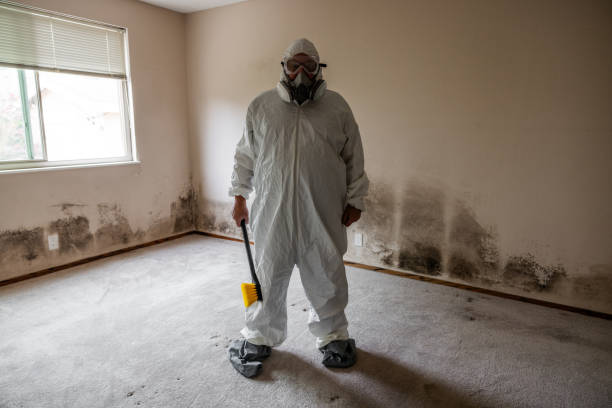 Best Professional Mold Removal  in Trotwood, OH