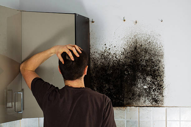 Mold Testing and Removal in Trotwood, OH